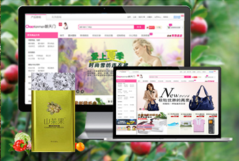 տ���������̳�