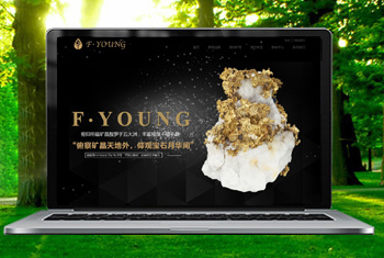 տ���������ﱦʯ