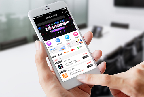 տ���������С����